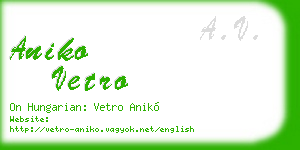aniko vetro business card